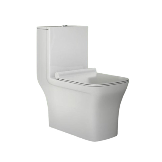 Eco-Friendly Dual Flush Toilet